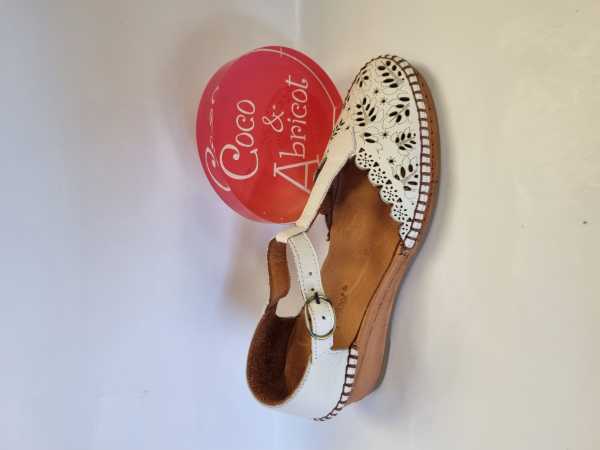 173658 (Collection)
