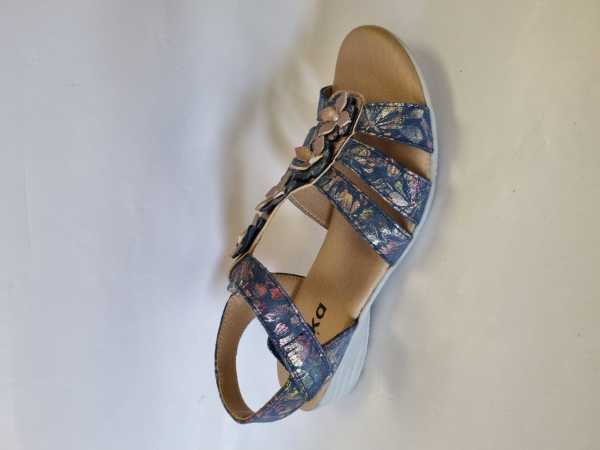 113858 (Collection)